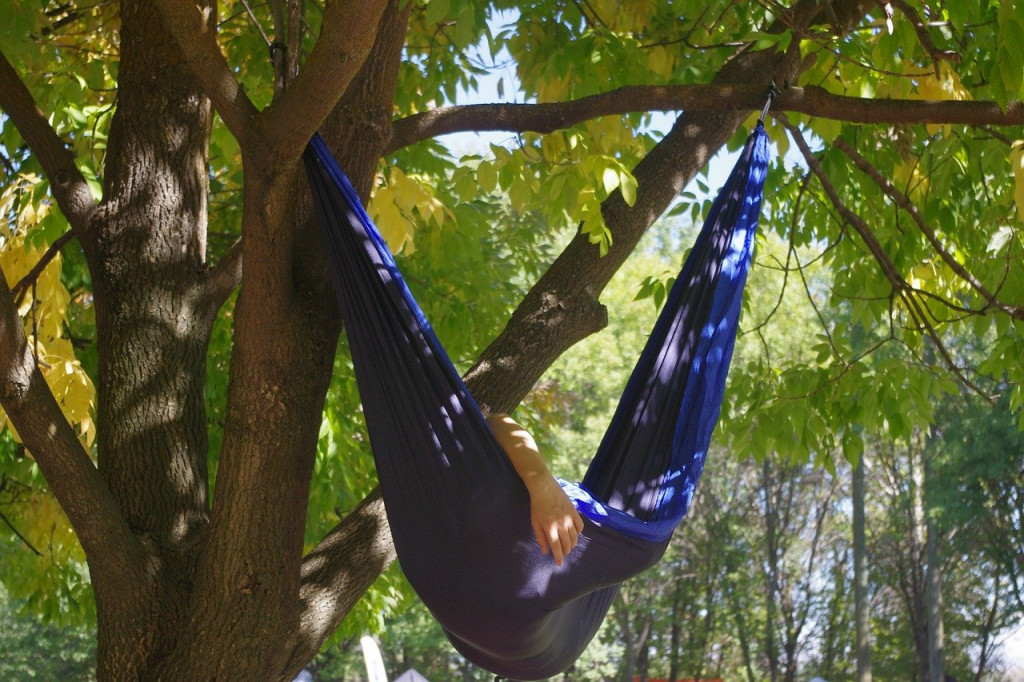 Hammock