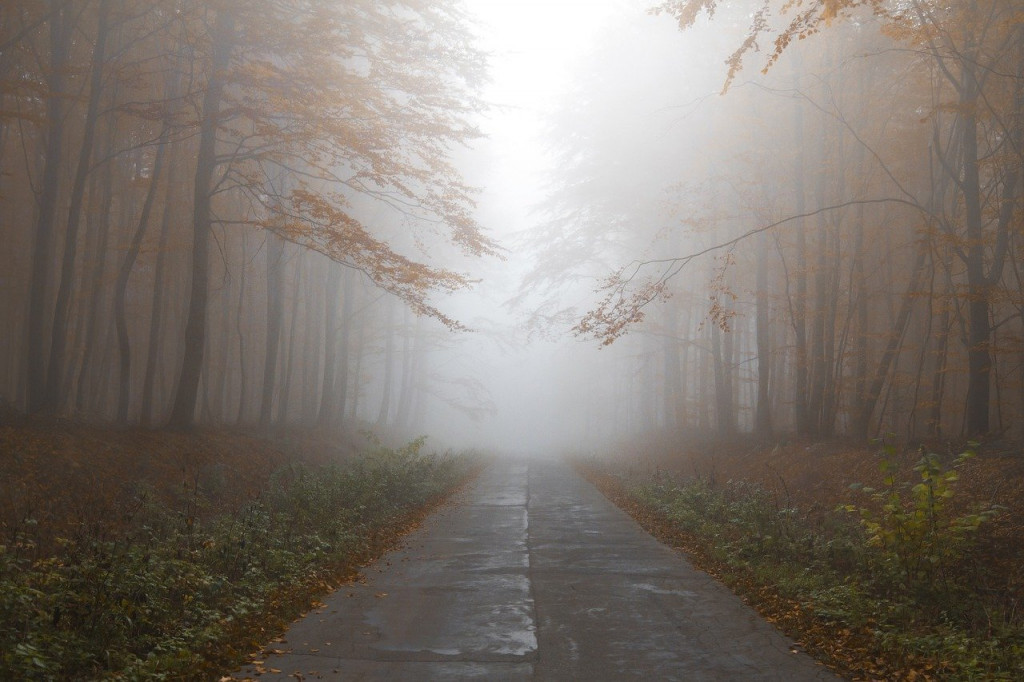 foggy road